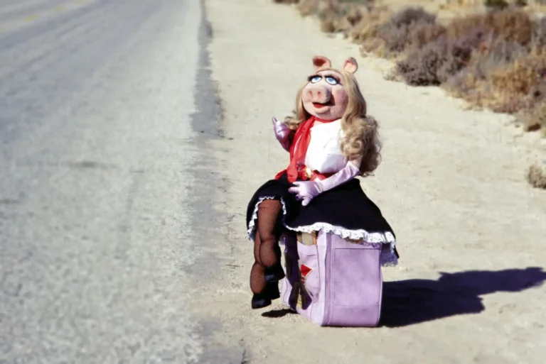 Miss Piggy isn’t just a fashion icon, she also charts the changing expectations of women